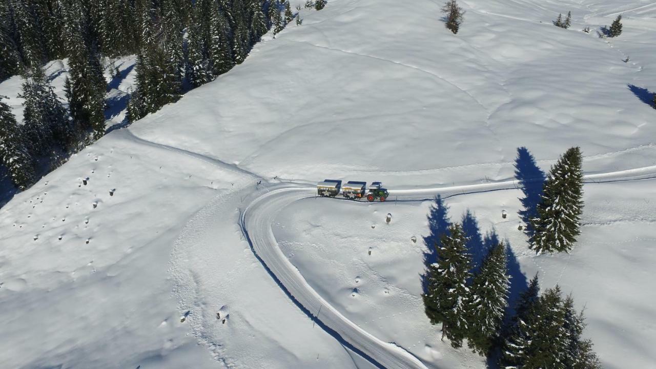 Ski In-Ski Out - Gaestehaeuser Saalbach-Hinterglemm - Wallegghof Christianhof Exterior foto